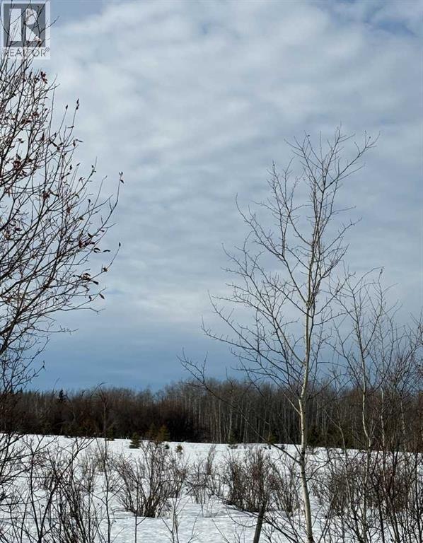 843001, Range Road 31 W6-3-84-24 NW & SW, Rural Clear Hills County, Alberta  T0H 2A0 - Photo 6 - A2281214