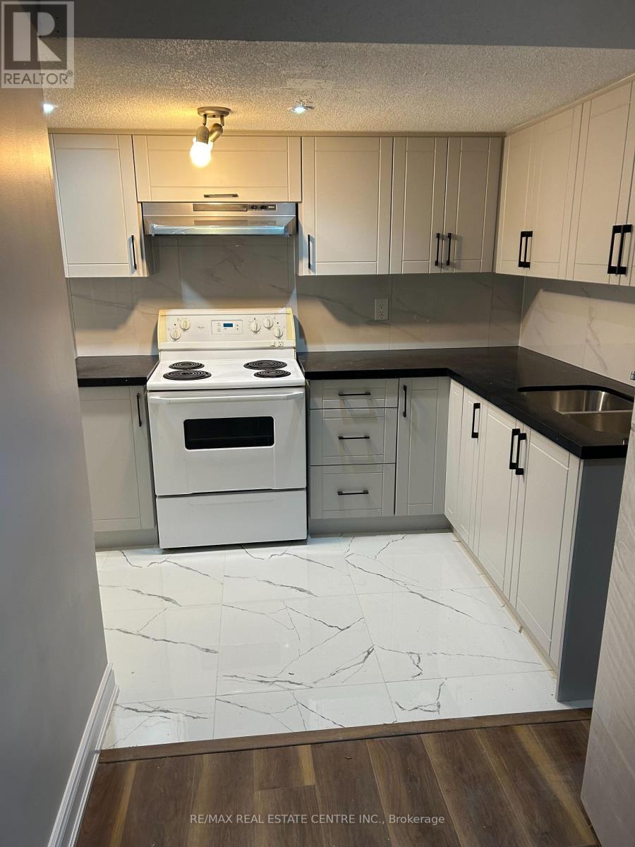 3213 Mcdowell (Basement) Drive, Mississauga, Ontario  L5M 6S4 - Photo 8 - W13017928