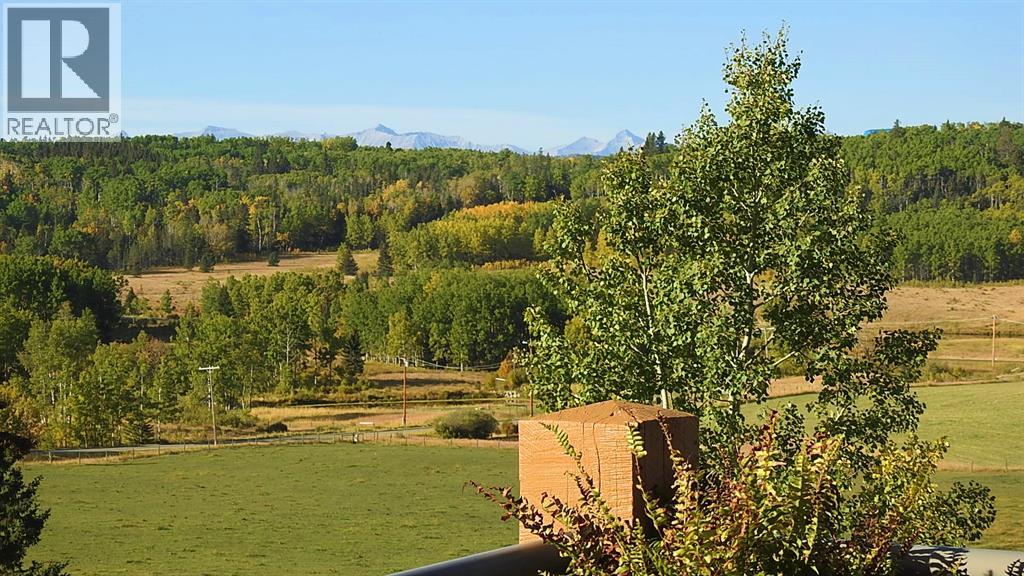 240184 370 Avenue W, Rural Foothills County, Alberta  T0L 1K0 - Photo 42 - A2301616