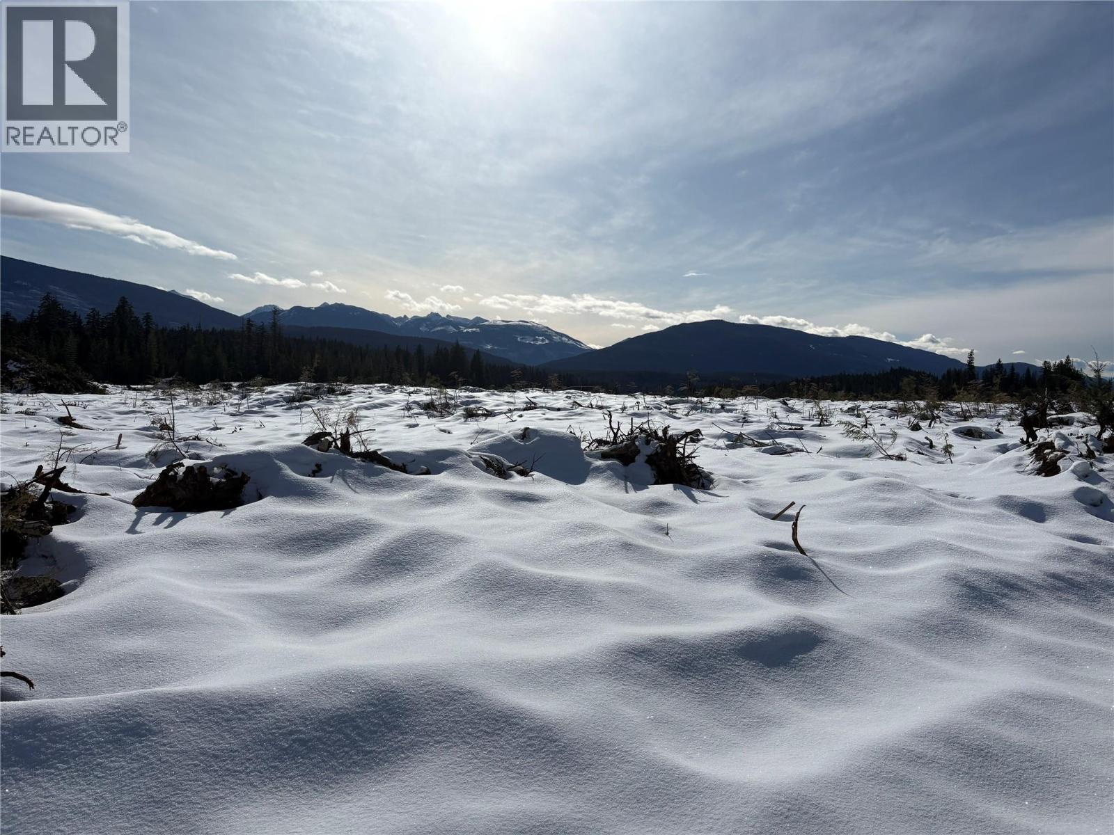 1020 Forest Service Road Seymour Arm Road, Seymour Arm, British Columbia   - Photo 2 - 10381224