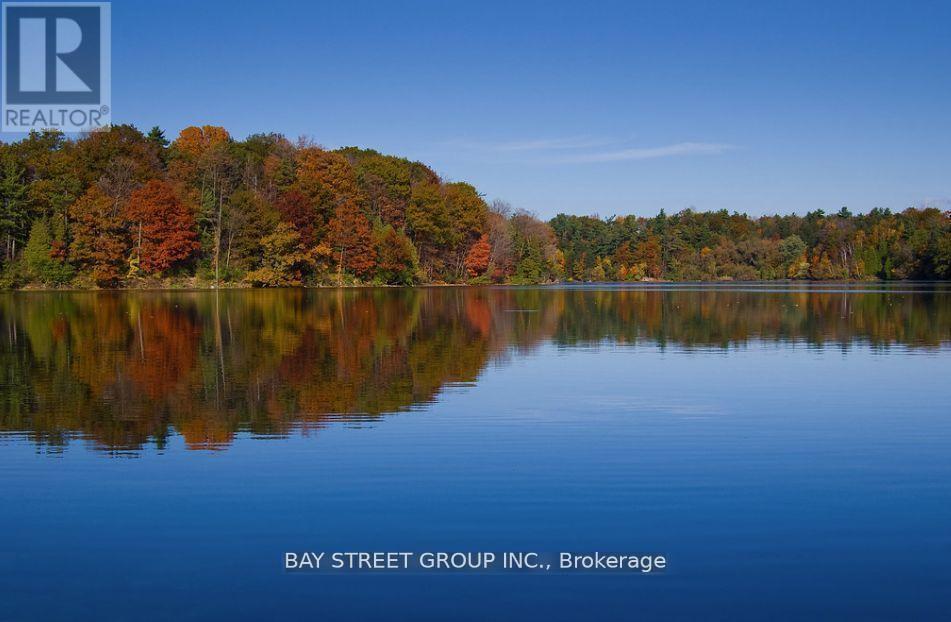 48 Cozens Drive, Richmond Hill, Ontario  L4E 4W6 - Photo 38 - N13018000