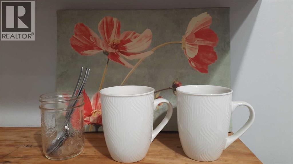 240 2 Avenue, Drumheller, Alberta  T0J 1B0 - Photo 15 - A2278198