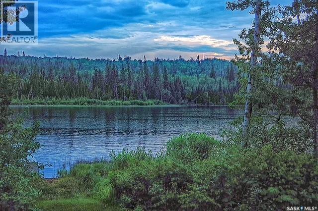 113 Poplar Crescent, Hudson Bay Rm No. 394, Saskatchewan  S0E 0Y0 - Photo 13 - SK033377