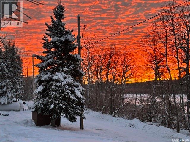 113 Poplar Crescent, Hudson Bay Rm No. 394, Saskatchewan  S0E 0Y0 - Photo 6 - SK033377