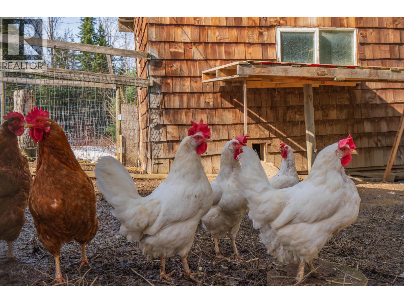 12900 Hubert Road, Prince George, British Columbia  V2K 5V3 - Photo 10 - R3113062