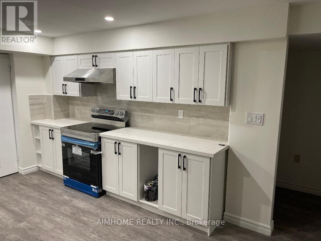 Bsmnt - 58 Hewlett Crescent, Markham, Ontario  L3P 7J7 - Photo 10 - N13018022