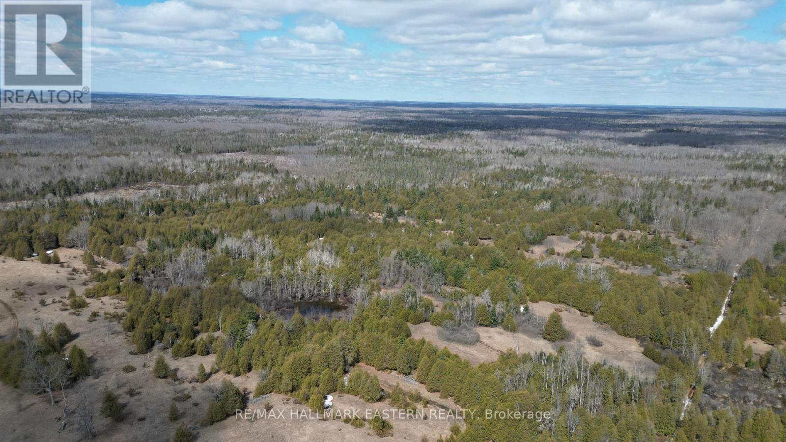 509 12th Line Dummer Road, Douro-Dummer, Ontario  K0L 2V0 - Photo 5 - X13018116