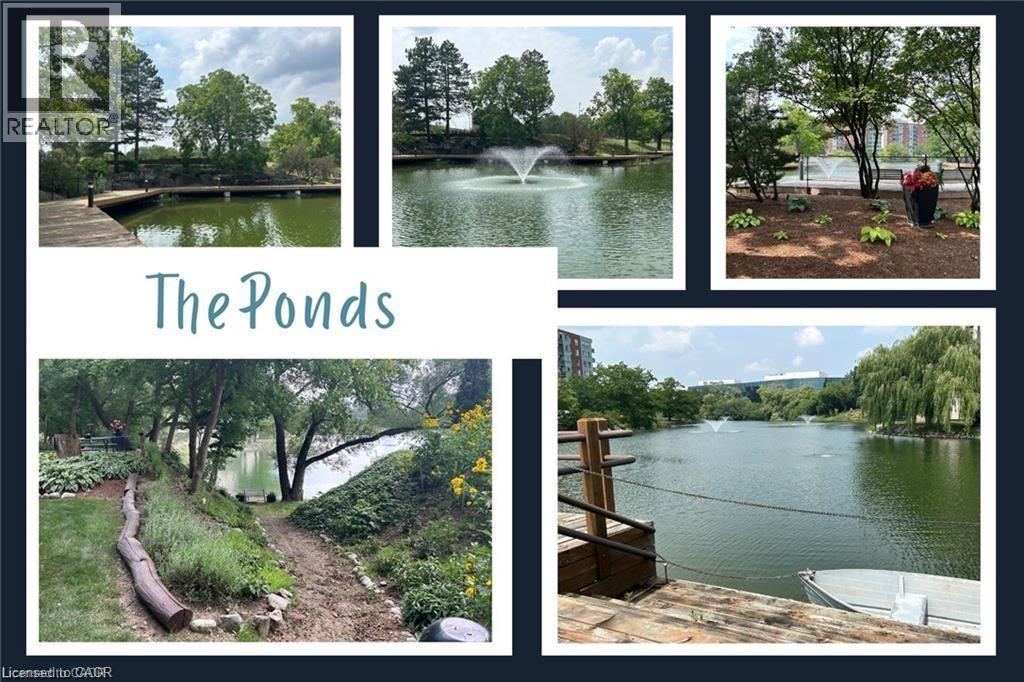 55 Blue Springs Drive Unit# 202, Waterloo, Ontario  N2J 4T3 - Photo 19 - 40818004