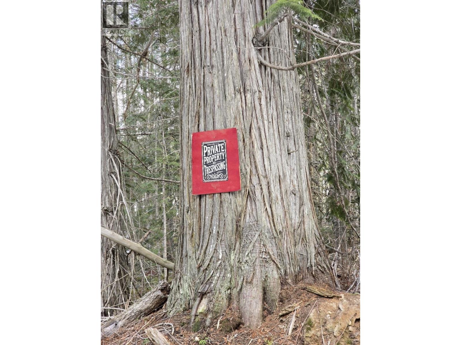 Dl11492 Quesnel Lake, Likely, British Columbia  V0L 1N0 - Photo 10 - R3113190