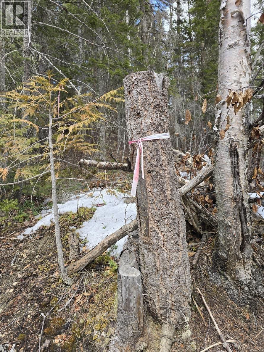 Dl11492 Quesnel Lake, Likely, British Columbia  V0L 1N0 - Photo 12 - R3113190