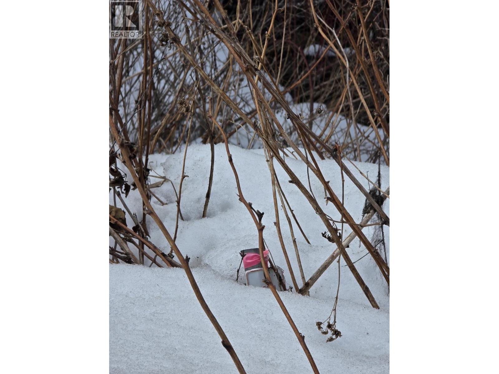 Dl11492 Quesnel Lake, Likely, British Columbia  V0L 1N0 - Photo 13 - R3113190