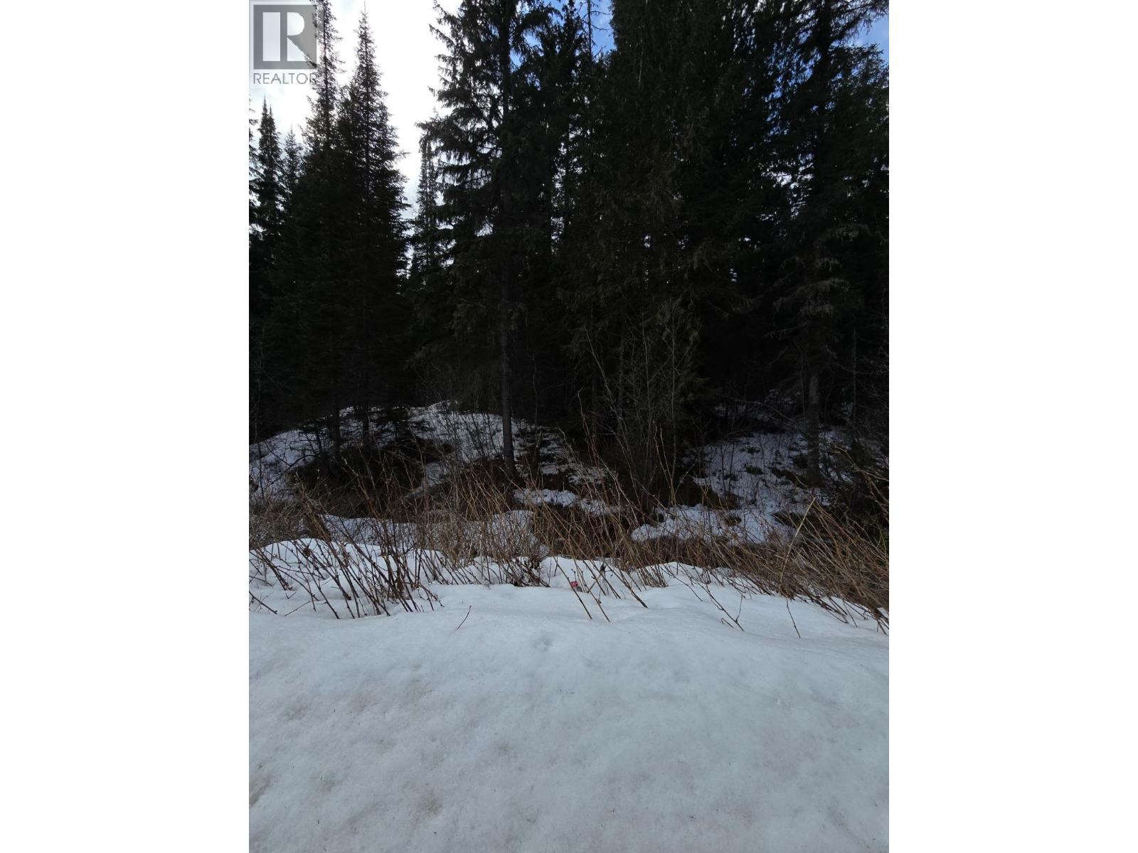 Dl11492 Quesnel Lake, Likely, British Columbia  V0L 1N0 - Photo 14 - R3113190