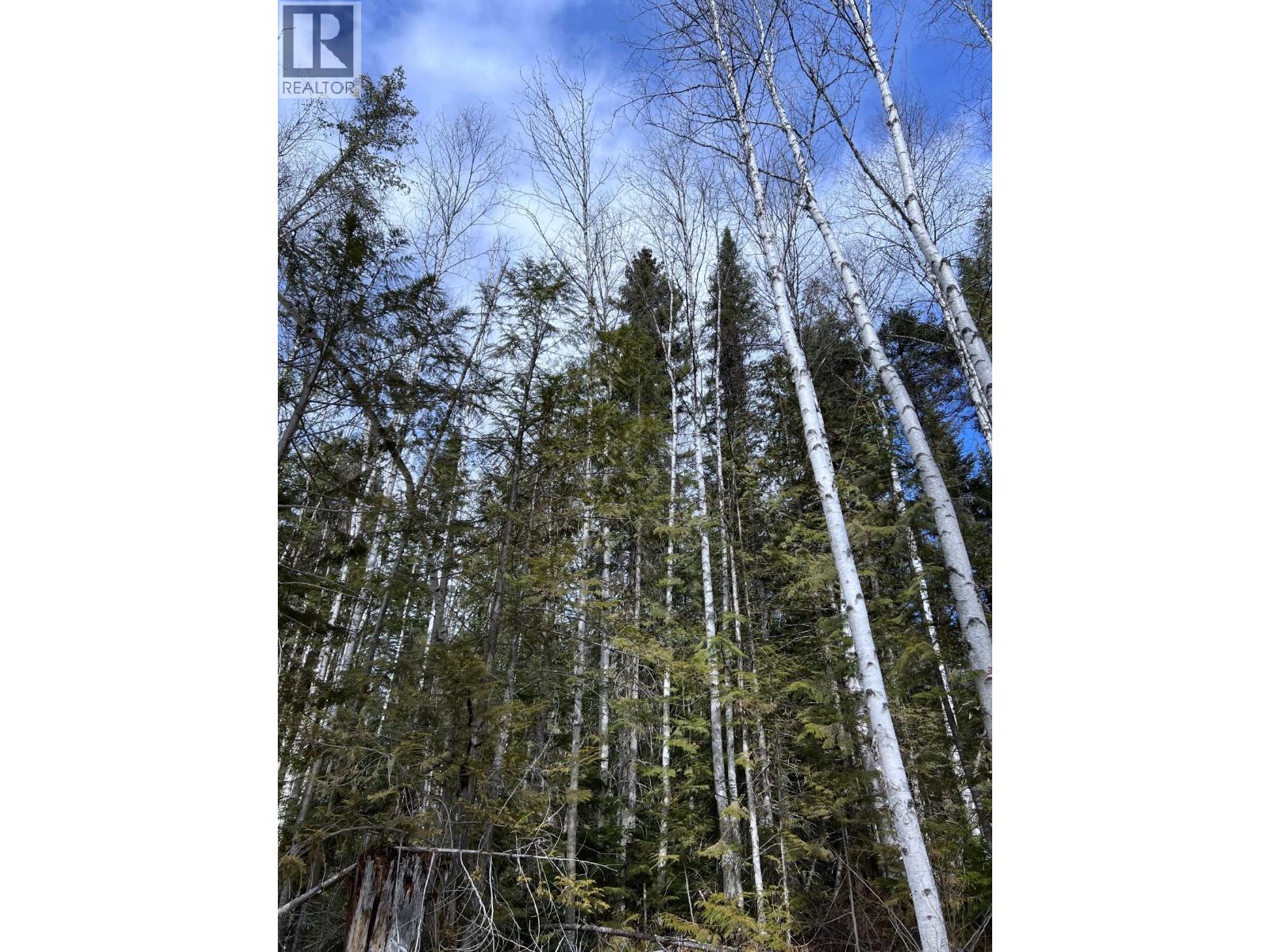 Dl11492 Quesnel Lake, Likely, British Columbia  V0L 1N0 - Photo 16 - R3113190