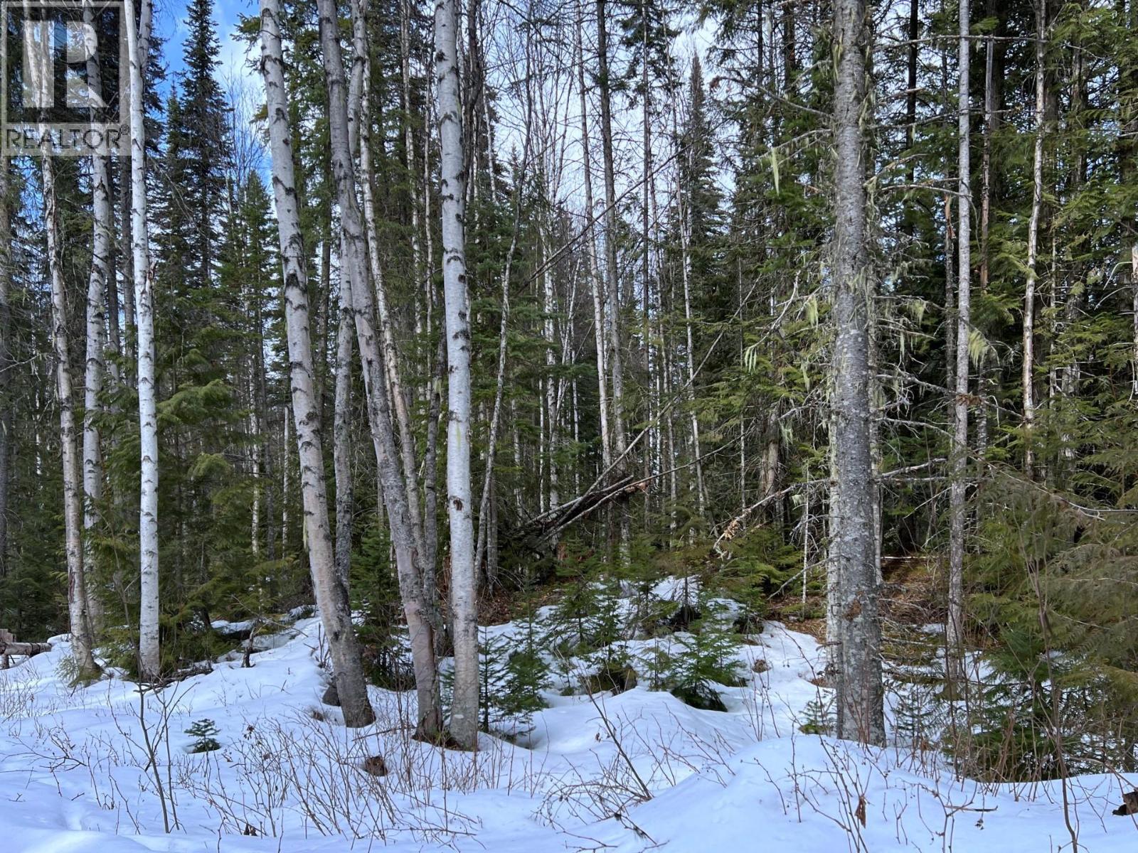 Dl11492 Quesnel Lake, Likely, British Columbia  V0L 1N0 - Photo 17 - R3113190