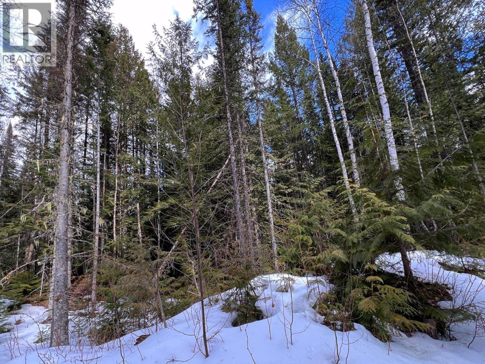 Dl11492 Quesnel Lake, Likely, British Columbia  V0L 1N0 - Photo 18 - R3113190