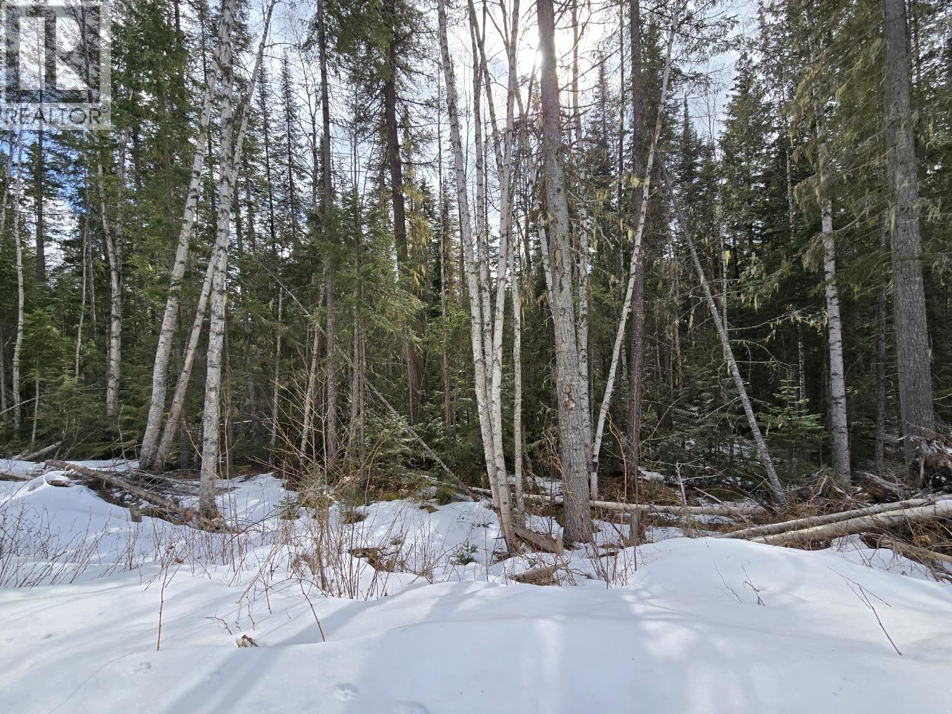 Dl11492 Quesnel Lake, Likely, British Columbia  V0L 1N0 - Photo 5 - R3113190