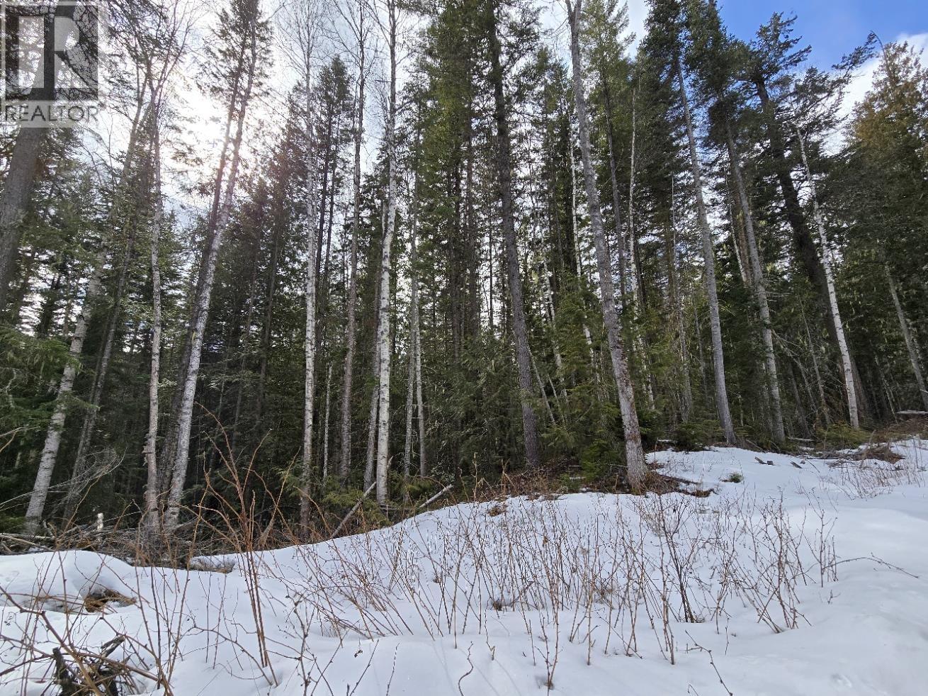 Dl11492 Quesnel Lake, Likely, British Columbia  V0L 1N0 - Photo 9 - R3113190