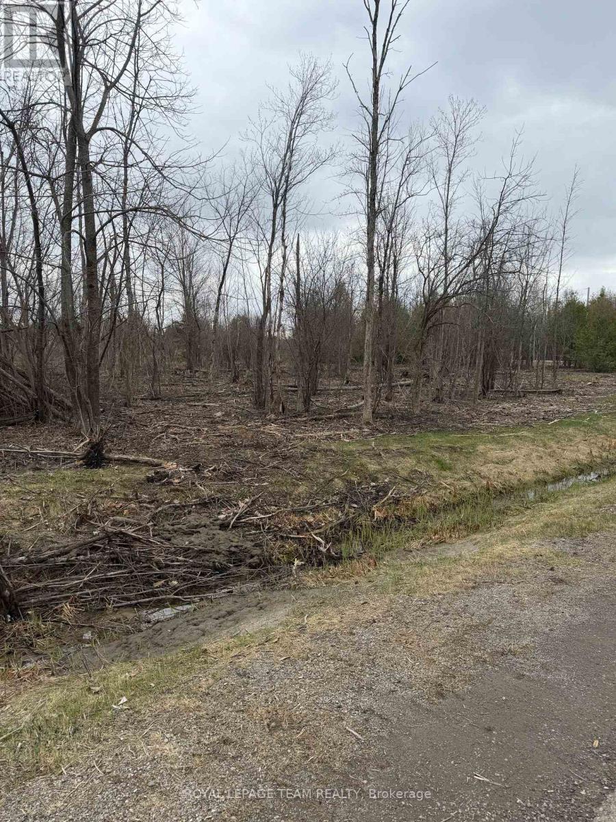 8074 Adam Baker Way, Ottawa, Ontario  K0A 2P0 - Photo 5 - X13018130