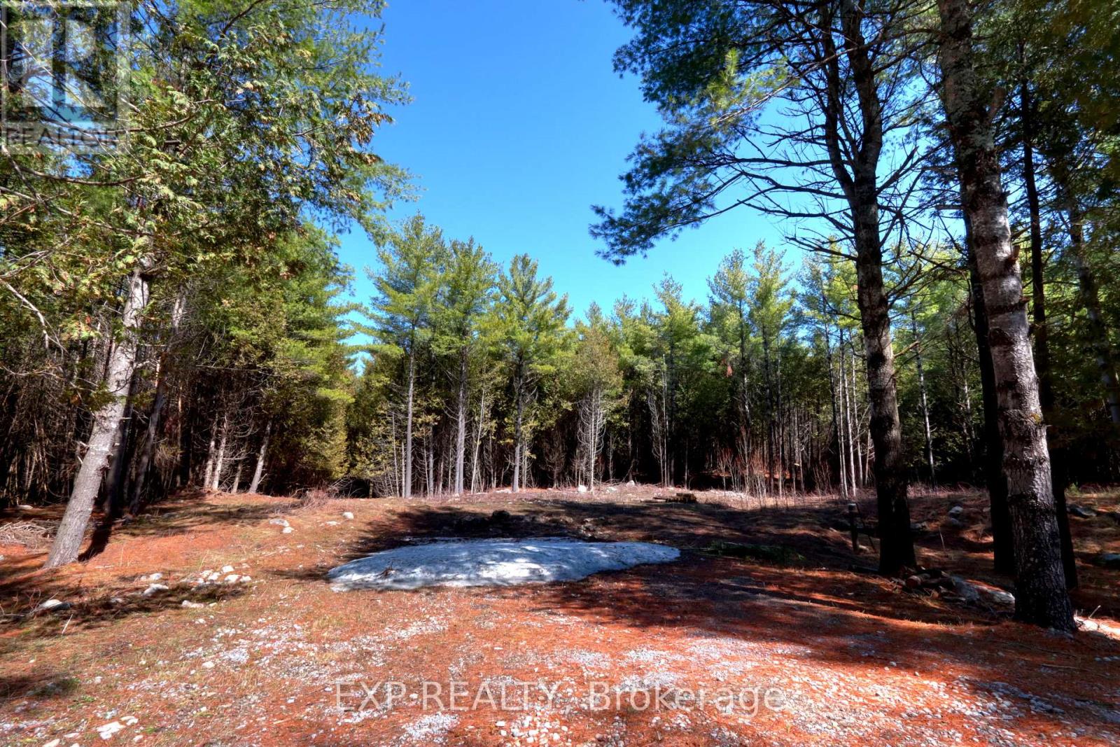 593 County 40 Road, Douro-Dummer, Ontario  K0L 2V0 - Photo 1 - X13018162