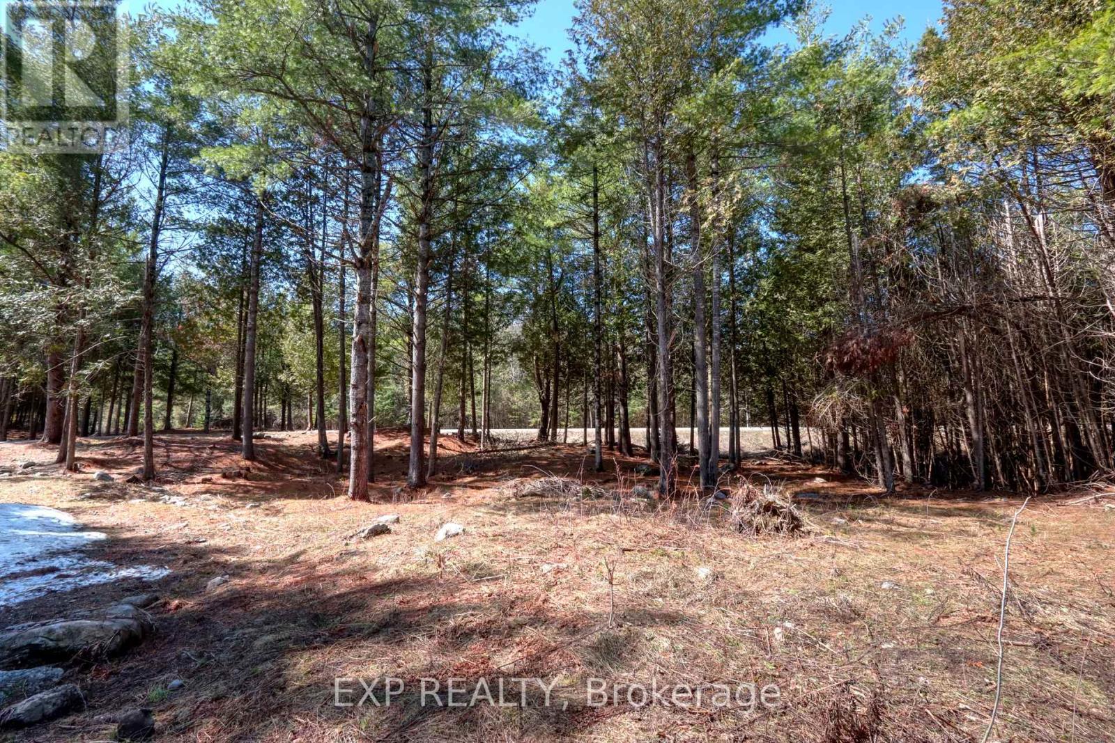 593 County 40 Road, Douro-Dummer, Ontario  K0L 2V0 - Photo 3 - X13018162