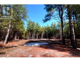593 COUNTY 40 ROAD, Douro-Dummer, Ontario