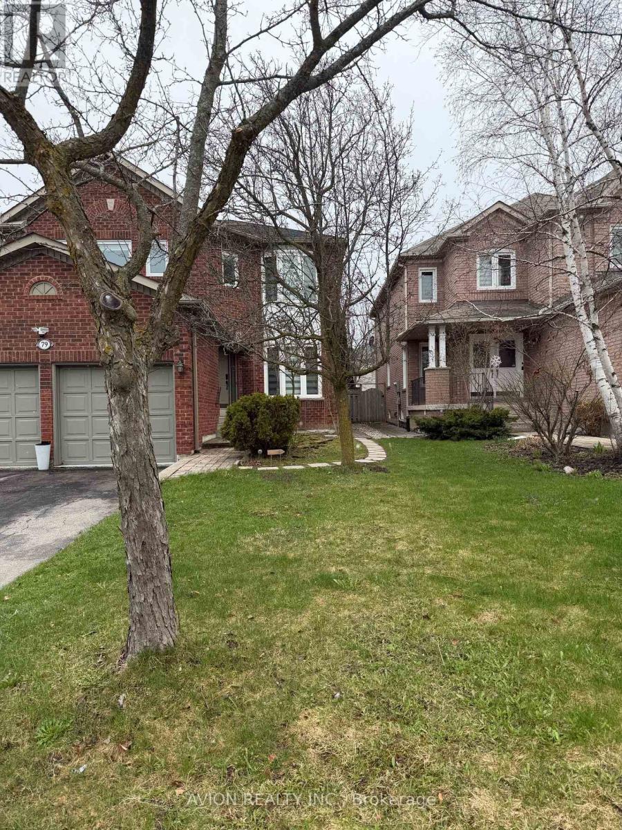 Basement - 79 Sweet Water Crescent, Richmond Hill, Ontario  L4S 2B2 - Photo 2 - N12883068