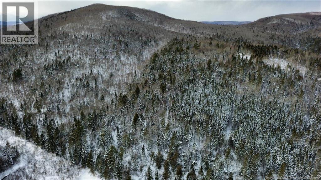 Lot Kintore Road, Kintore, New Brunswick  E7H 2L4 - Photo 10 - NB132556