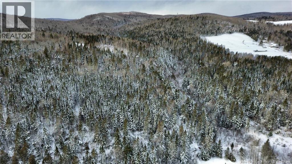 Lot Kintore Road, Kintore, New Brunswick  E7H 2L4 - Photo 11 - NB132556