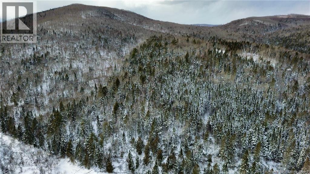 Lot Kintore Road, Kintore, New Brunswick  E7H 2L4 - Photo 12 - NB132556