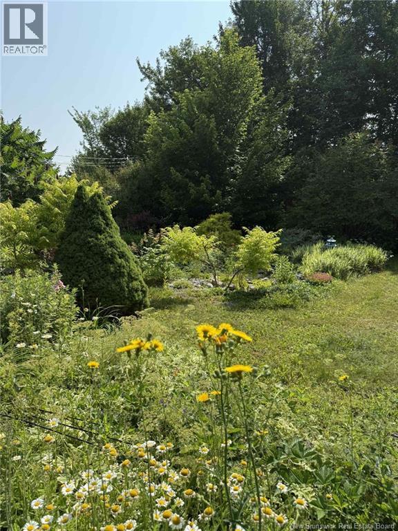 457 Rennie Road, Miramichi, New Brunswick  E1V 5Z6 - Photo 40 - NB123003