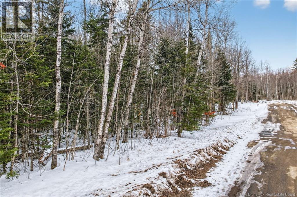Lot Newport Drive, Boundary Creek, New Brunswick  E1G 4E5 - Photo 4 - NB134569