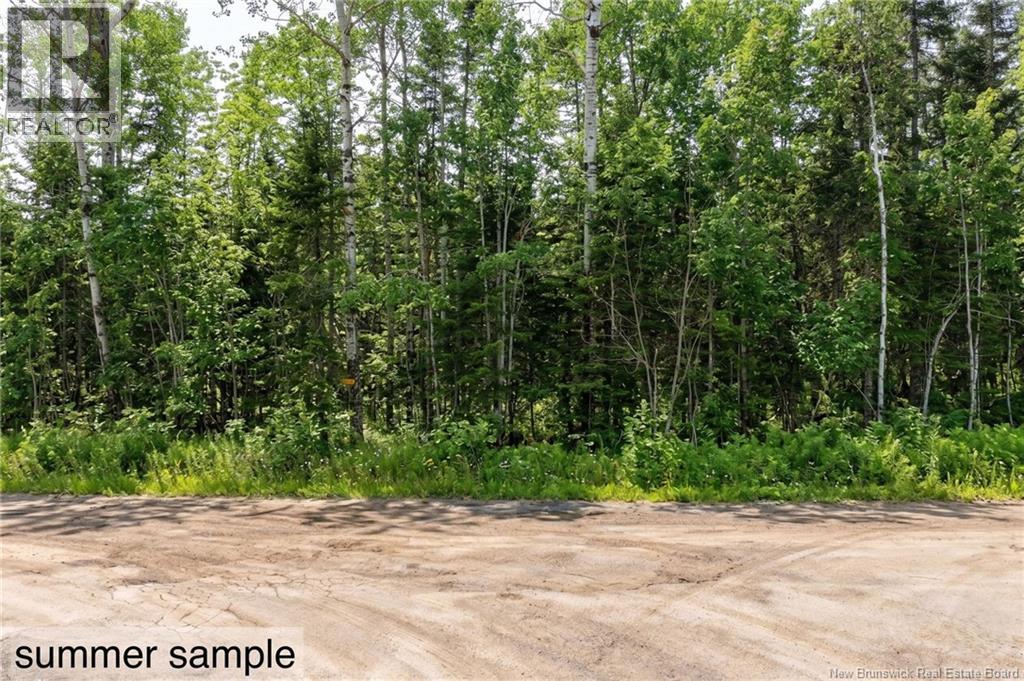 Lot Newport Drive, Boundary Creek, New Brunswick  E1G 4E5 - Photo 1 - NB134569