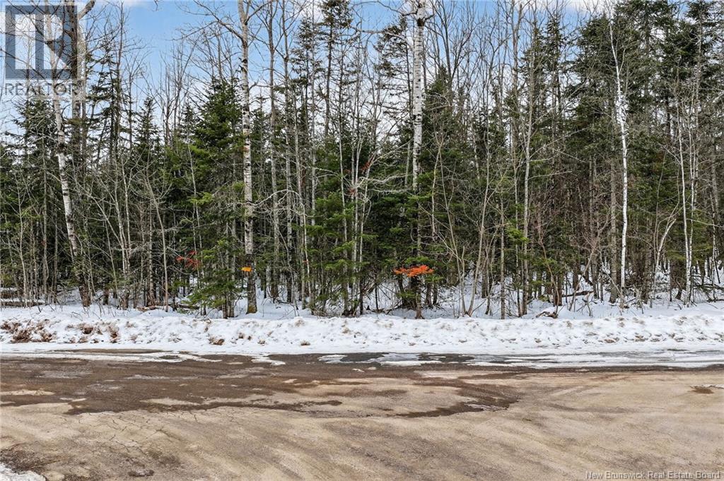 Lot Newport Drive, Boundary Creek, New Brunswick  E1G 4E5 - Photo 16 - NB134569