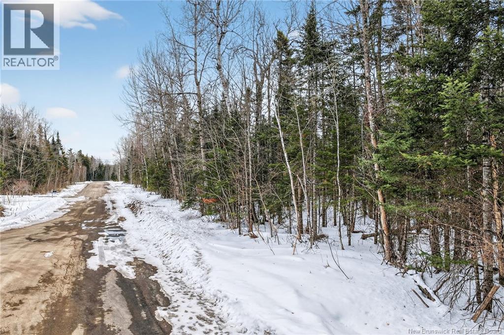 Lot Newport Drive, Boundary Creek, New Brunswick  E1G 4E5 - Photo 3 - NB134569
