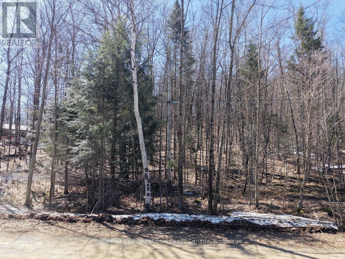 0 Mink Lot 17 Road, Dysart Et Al, Ontario  K0M 1S0 - Photo 2 - X13018236