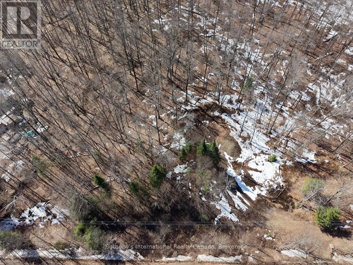 0 Mink Lot 17 Road, Dysart Et Al, Ontario  K0M 1S0 - Photo 5 - X13018236