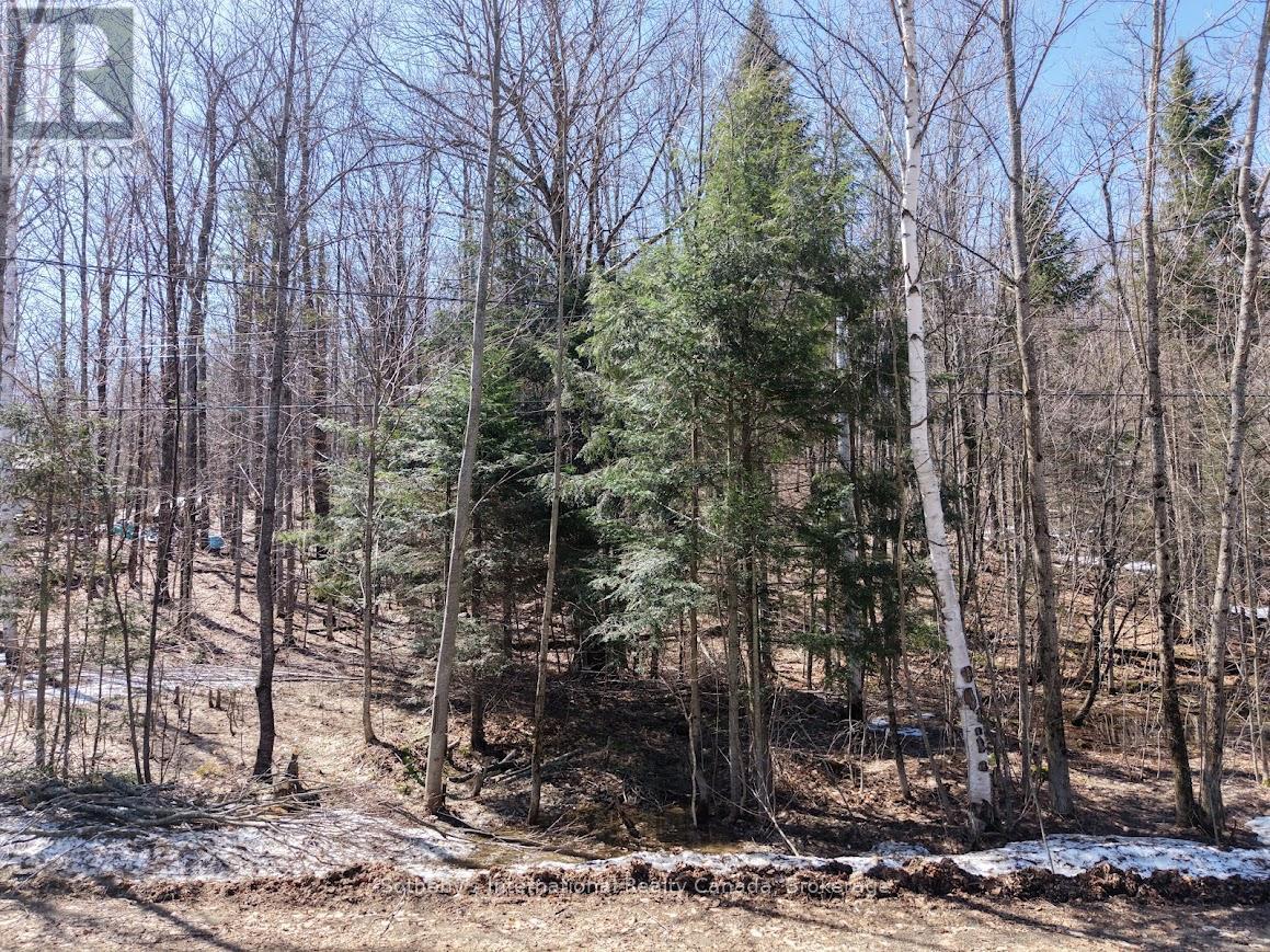 0 Mink Lot 17 Road, Dysart Et Al, Ontario  K0M 1S0 - Photo 8 - X13018236