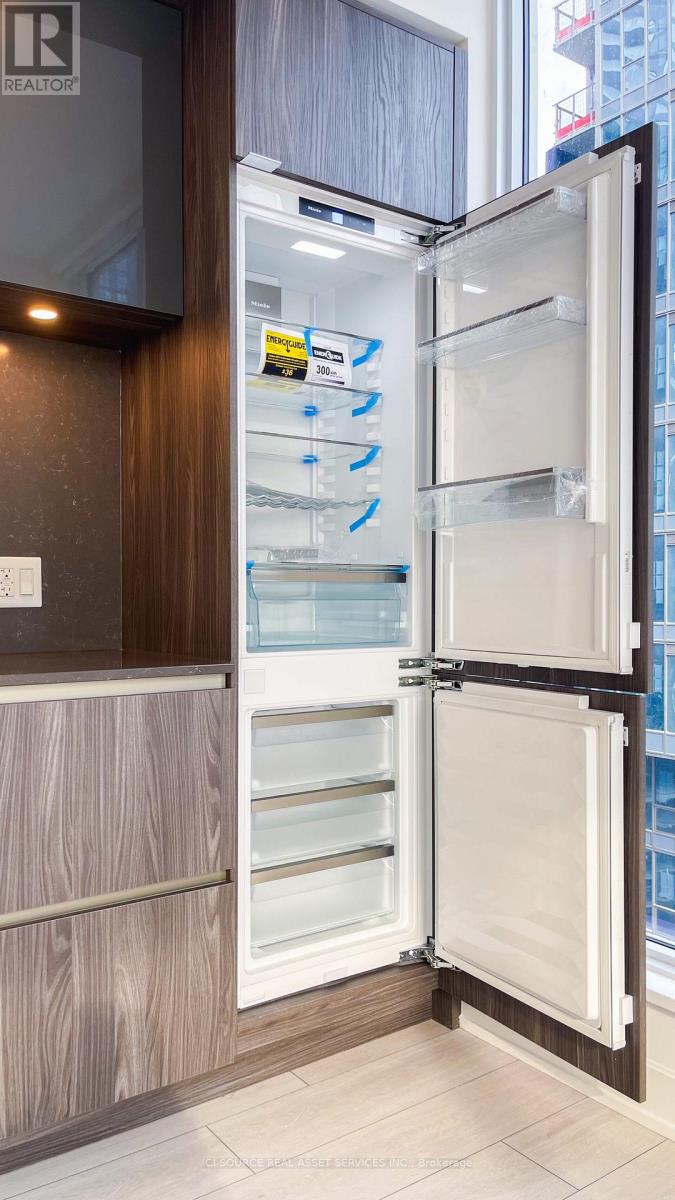 2116 - 35 Mercer Street, Toronto, Ontario  M5V 1H2 - Photo 10 - C13018262