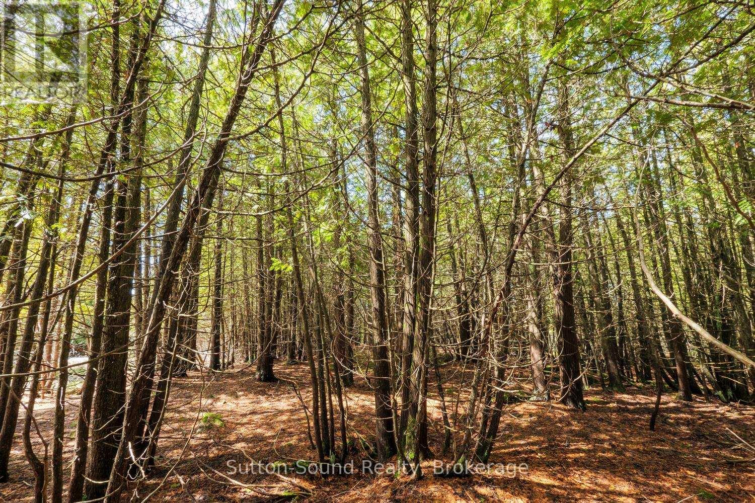 146 Sutter Road, Northern Bruce Peninsula, Ontario  N0H 1W0 - Photo 11 - X12864826