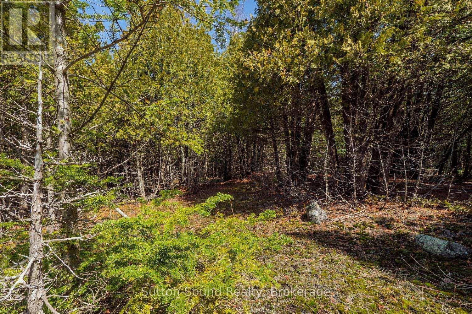 146 Sutter Road, Northern Bruce Peninsula, Ontario  N0H 1W0 - Photo 13 - X12864826