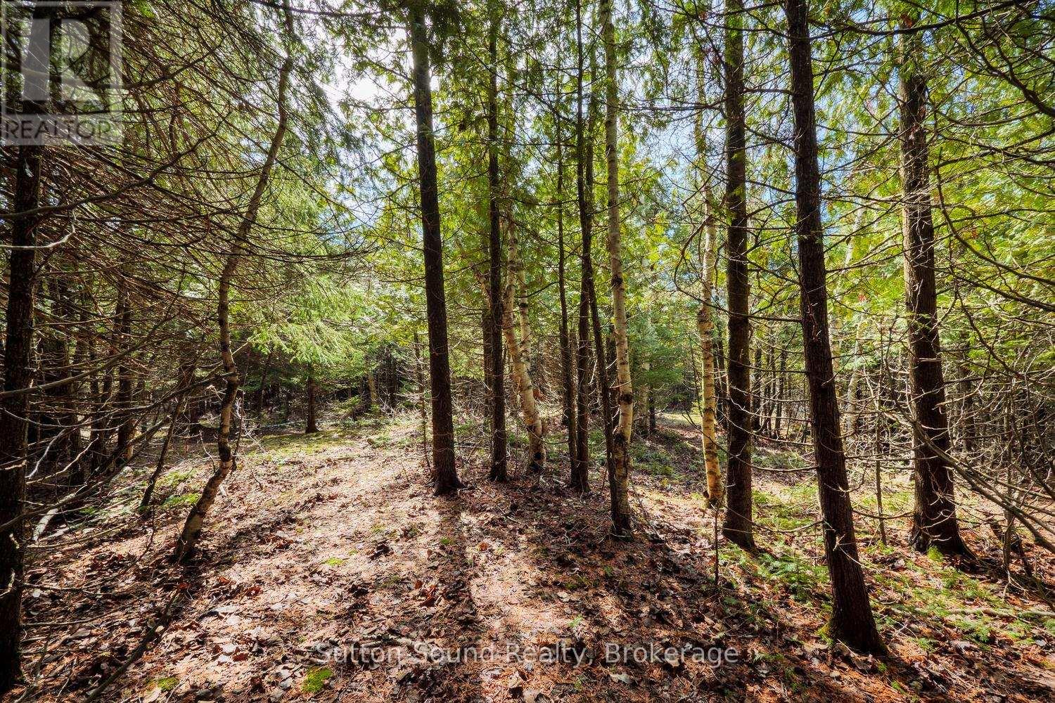 146 Sutter Road, Northern Bruce Peninsula, Ontario  N0H 1W0 - Photo 12 - X12864826