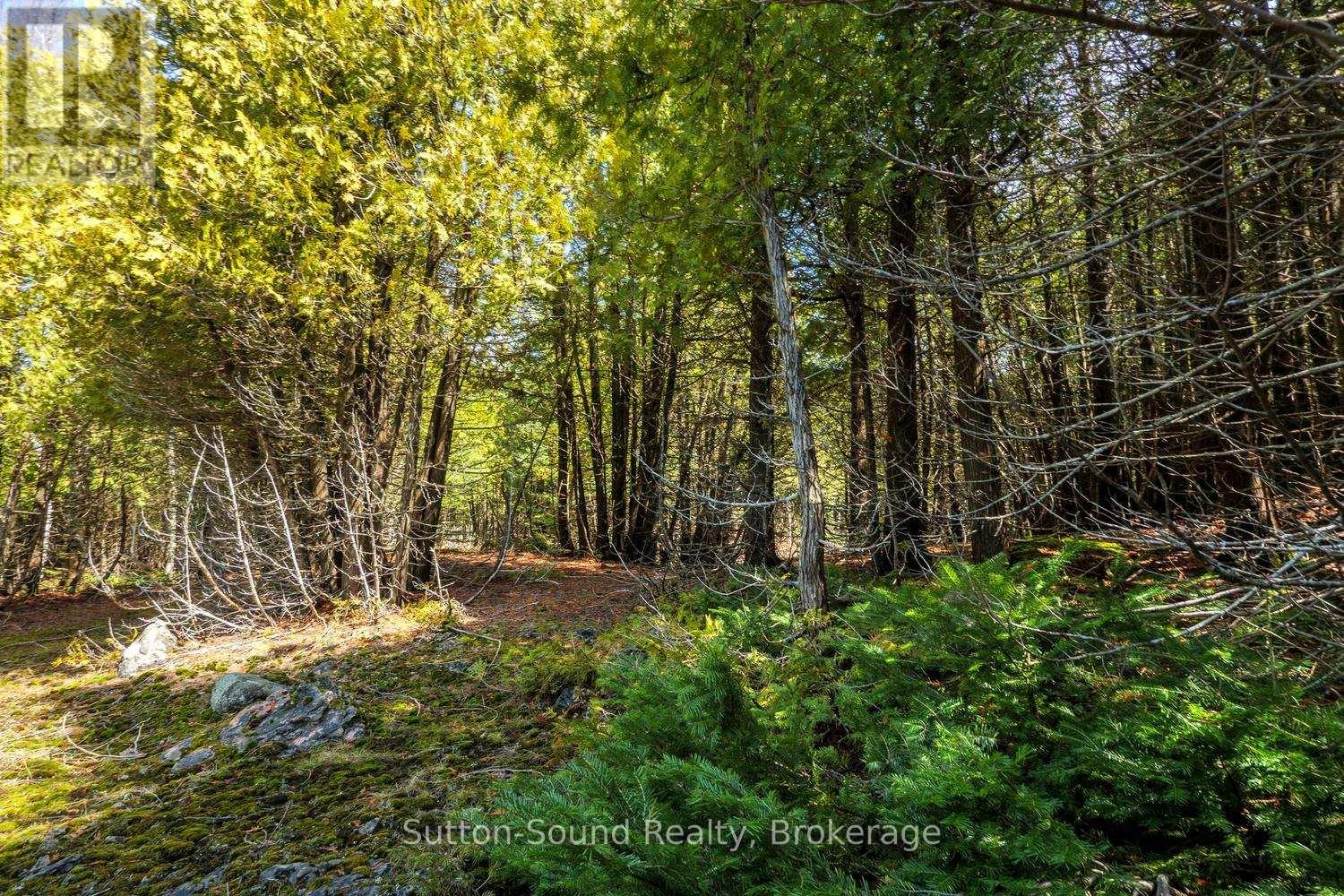 146 Sutter Road, Northern Bruce Peninsula, Ontario  N0H 1W0 - Photo 16 - X12864826