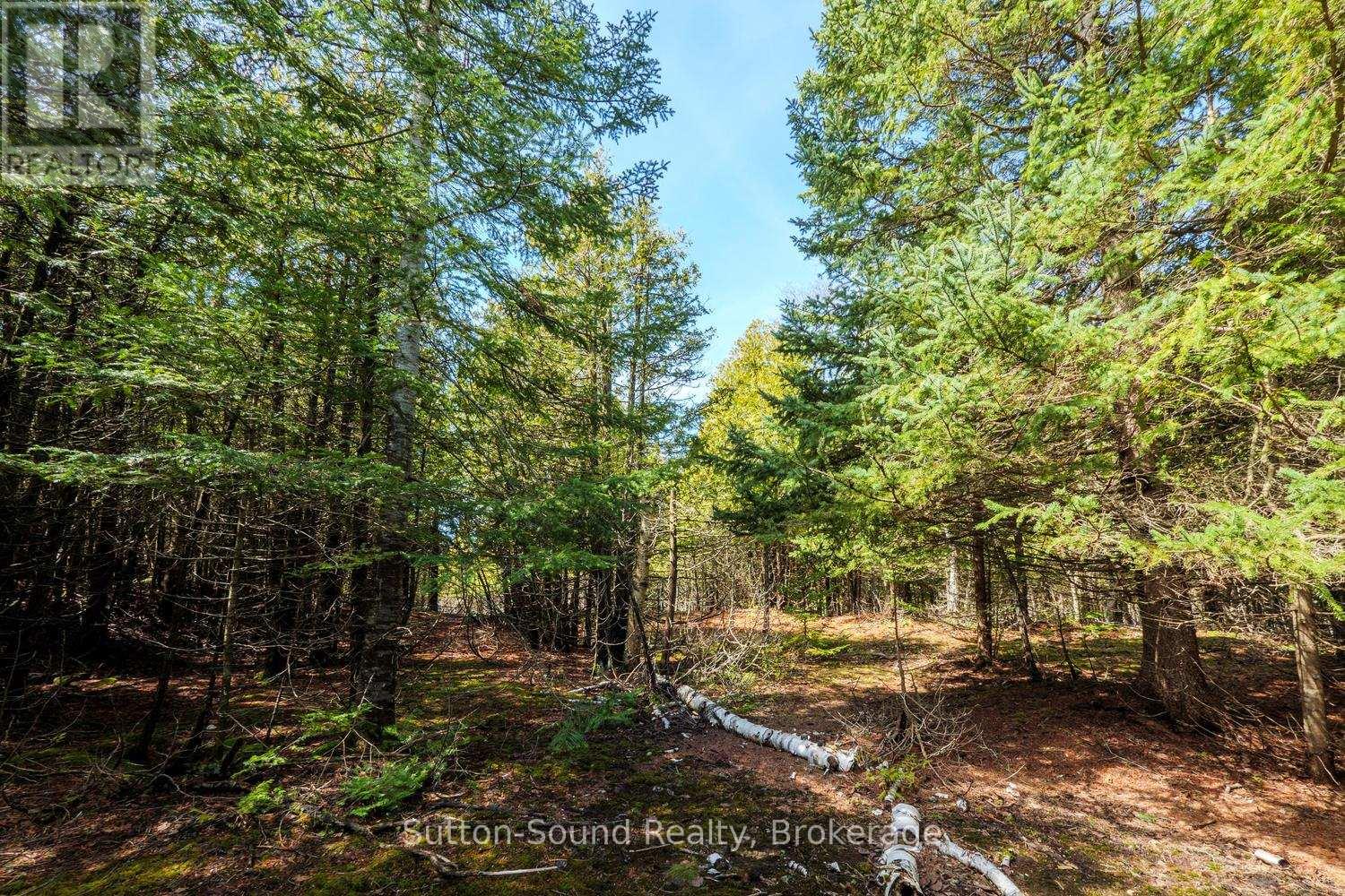 146 Sutter Road, Northern Bruce Peninsula, Ontario  N0H 1W0 - Photo 10 - X12864826