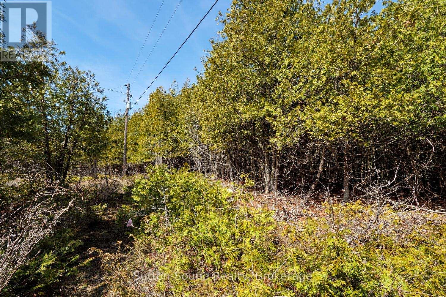 146 Sutter Road, Northern Bruce Peninsula, Ontario  N0H 1W0 - Photo 6 - X12864826