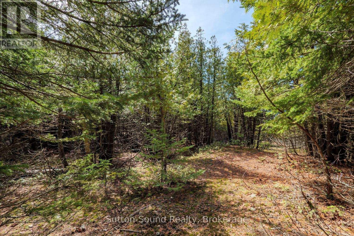 146 Sutter Road, Northern Bruce Peninsula, Ontario  N0H 1W0 - Photo 7 - X12864826