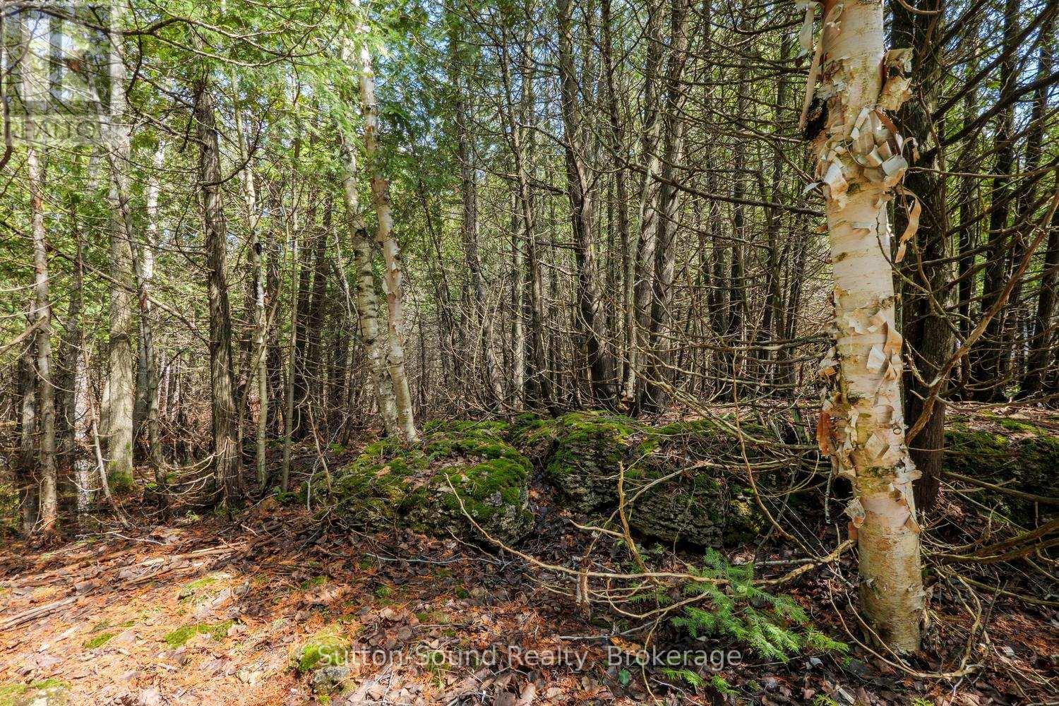 146 Sutter Road, Northern Bruce Peninsula, Ontario  N0H 1W0 - Photo 9 - X12864826