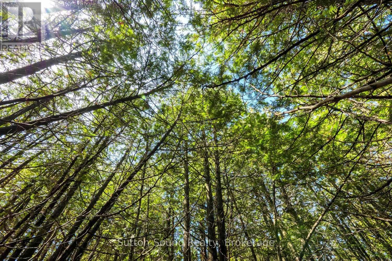 146 Sutter Road, Northern Bruce Peninsula, Ontario  N0H 1W0 - Photo 8 - X12864826