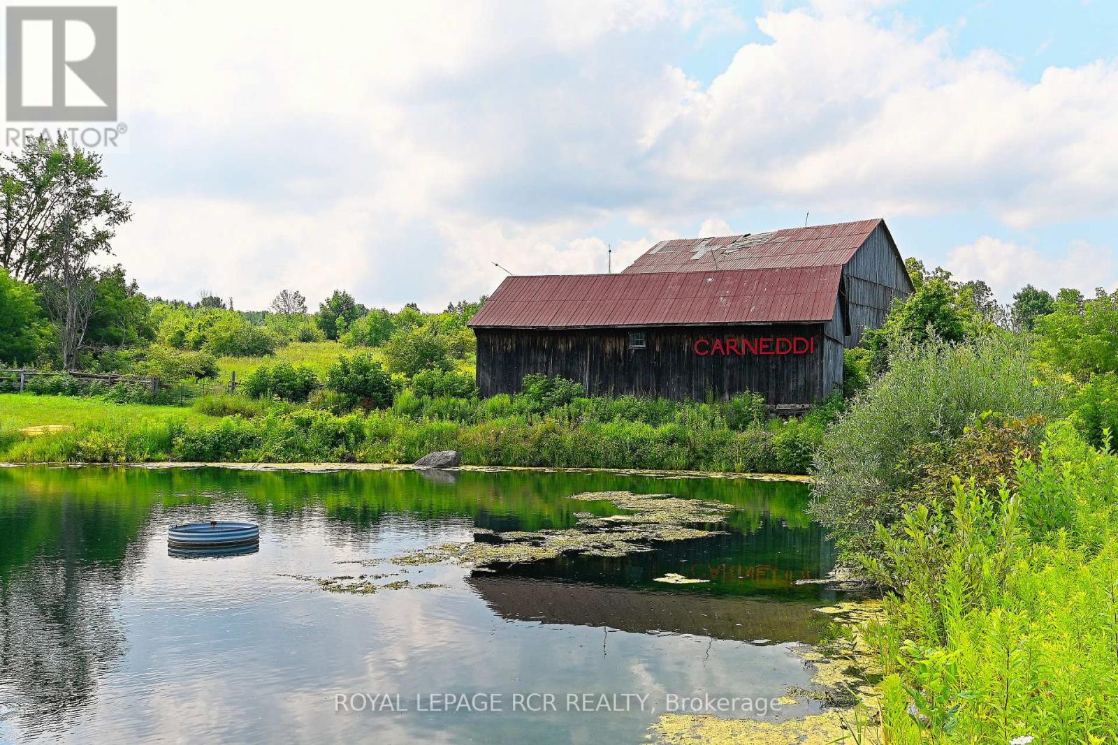 836206 4th Line, Mulmur, Ontario  L9V 0J1 - Photo 34 - X13018190