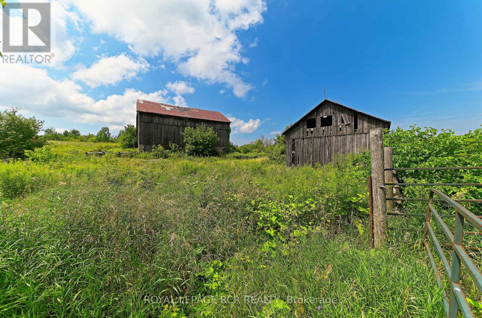 836206 4th Line, Mulmur, Ontario  L9V 0J1 - Photo 35 - X13018190