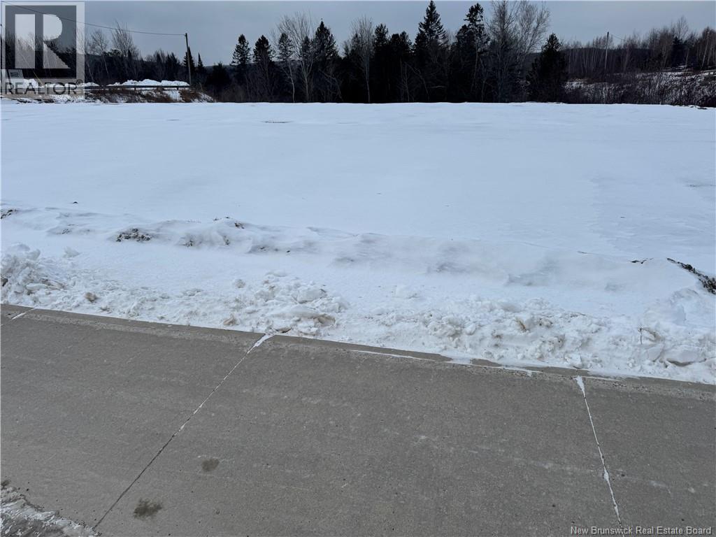 295 Connell Street, Woodstock, New Brunswick  E7M 1L3 - Photo 3 - NB131313